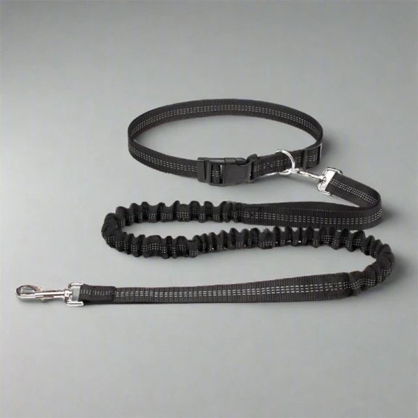 pet-guardian-reflective-hands-free-dog-leash-adjustable-comfortable-safe-12033156