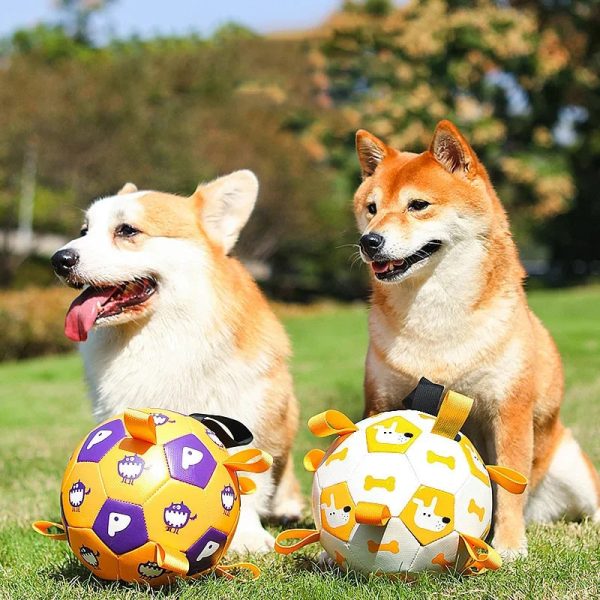 interactive-soccer-ball-toy-for-dogs-12034116